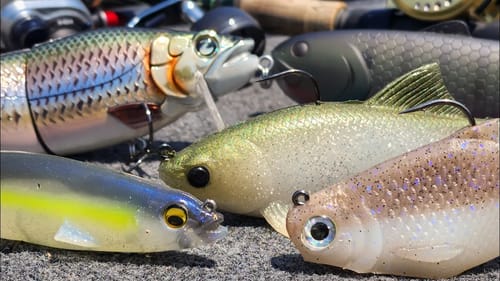 Easy Swimbait Tricks To Catch Big Bass All Summer!