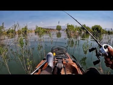 Going back to the basics (Impromptu fishing trip)