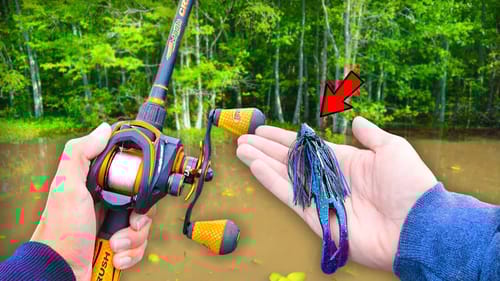 Searching for GIANT Bass w/ BIG Jigs! (Bank Fishing)