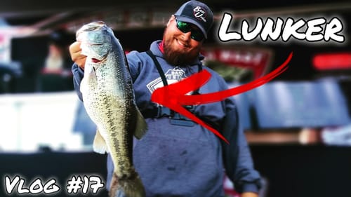 I Still Can't Believe I Caught this Lunker Bass with Money on the Line | Vlog #17