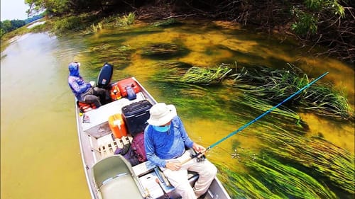 We FOUND CLEAR CREEKS and GIANT FISH!!!