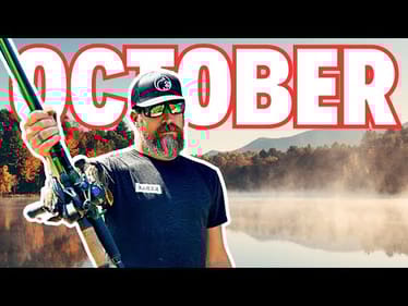 Out Fish Your Friends This OCTOBER With These 6 Bass Lures