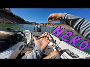 Fishing Finesse Neko Rigs on Lake Oroville | I Wish I Found These O-Rings Sooner!