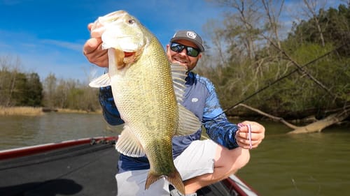 FINESSE vs BIG BAITS - Spring Bass Fishing!