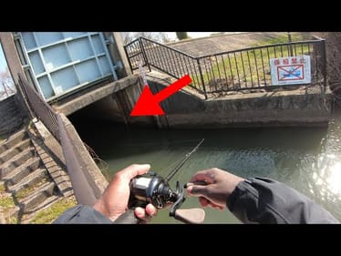 I Caught A Japanese Lake Monster From This Tiny Hidden Tunnel!