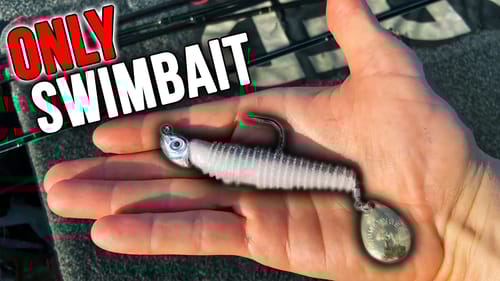 This CHANGED the Way I Fish SWIMBAITS
