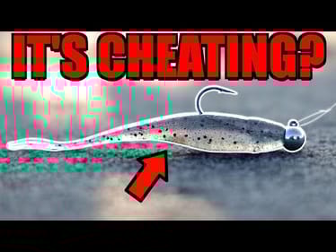 Everything You DON'T Know About the Jighead Minnow!