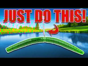 How to Fish a Wacky Rig Better Than 99% of Fisherman!