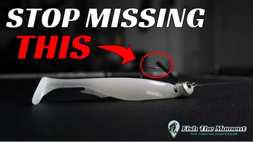 No One On Your Lake Is Trying This For Summer Bass Offshore