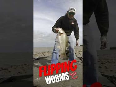 Flipping Worms 🪱 on Harris Chain #shorts #bassfishing #harrischain