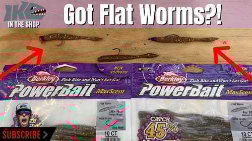 Best Bass Bait of the Year!