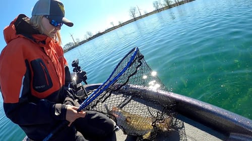 Lake Ontario Prespawn Smallmouth on Jerkbaits! (Zone 20 C&R)