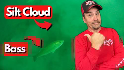 WATCH How Bass Use Silt Clouds - And WHAT We Can Learn as Anglers