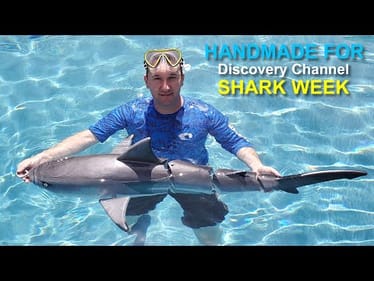 As Seen on TV! - Making a Shark Swimbait for Shark Week