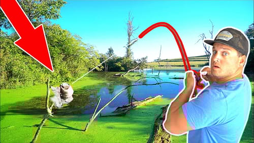 I CAN'T BELIEVE the MASSIVE Fish in this TINY POND!!!