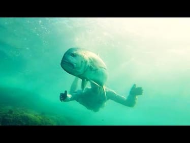 Island Hopping For Australian BEASTS -- On The Rocks EP. 3