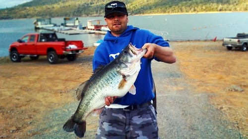 Tim's PB Largemouth: 15 lber!