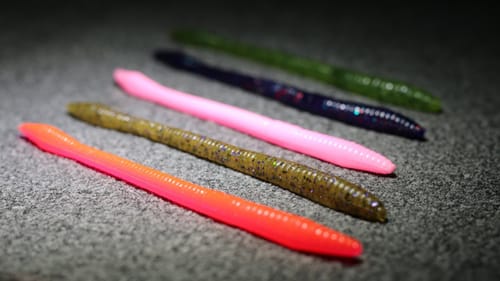 One of the BEST WORMS Ever Created! (Tackle Organization Day 2)