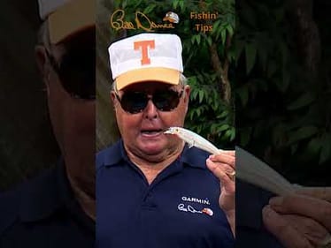 Bill Dance Fishin’ Tips: Big Offering, Big Bass
