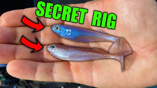 I'm Going to get in TROUBLE for Showing this Fishing Rig