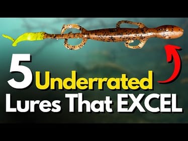 Most UNDERRATED Bass Fishing Lures (Take Advantage of THIS!)