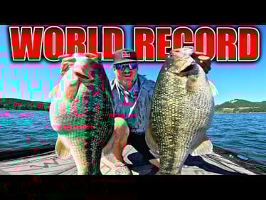 The WORLD RECORD Bass Lives HERE!! Unbelievable Double Digit Spotted Bass Mission!