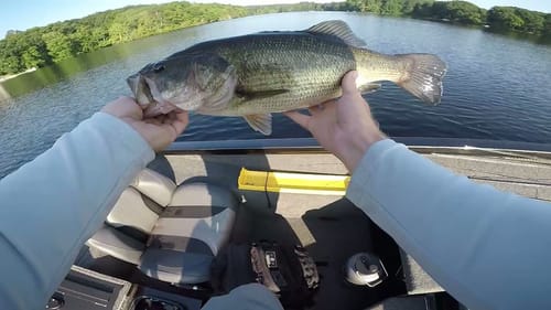 Humminbird Mega Live - Catching Bass on a Tough Day