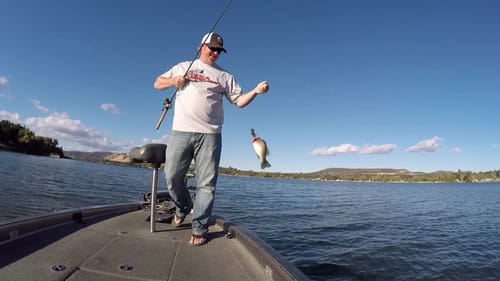 Fall Bass Fishing: Target Fishing With a Jig