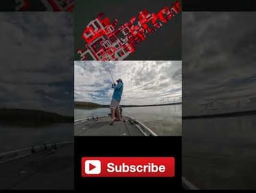 🎣 Try This When Fishing Gets Tough! 🎣