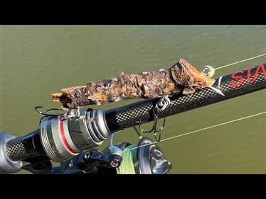 Will Fish Eat a Stick?