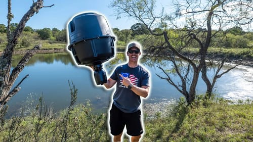 Feeding Bass Pond for First Time - Feeder Set Up Fish & Reaction