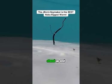 This IS The Best Neko Rig Worm