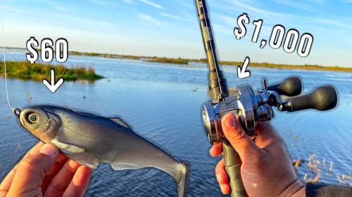 I Only Fished Giant Swimbaits, And Here's What Happened...