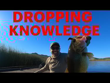 Don’t Miss These Details!!