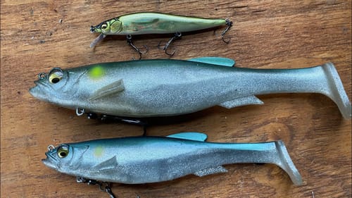 Why Big Swimbaits Are Ignored By Average Anglers And Used By Pros