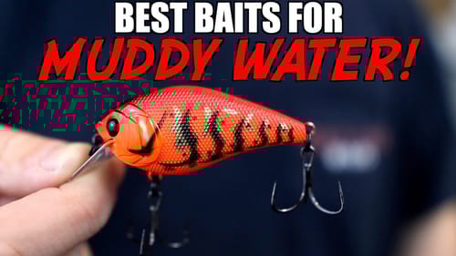 The 4 BEST Baits for MUDDY WATER Bass Fishing!