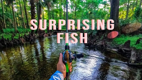 Fishing a Magical River for Surprising Fish