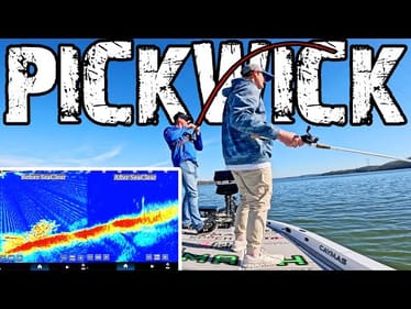What's Wrong With My LIVESCOPE!? Bass Fishing Pickwick Lake for GIANTS!
