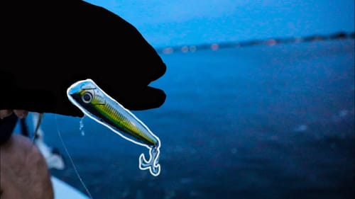 Huge Japanese Popper Comes In Clutch For a Big Fish + Fishing Live White Bait for a New PB