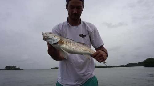 Fishing for Trout and Redfish