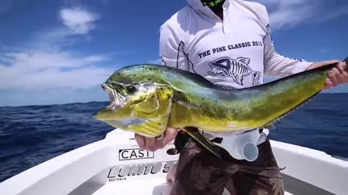 TOPWATER FISHING Cast Mag : Bonito Boats - GT Popping Giant Trevally, Spanish Mack, Mahi Mahi, Wahoo
