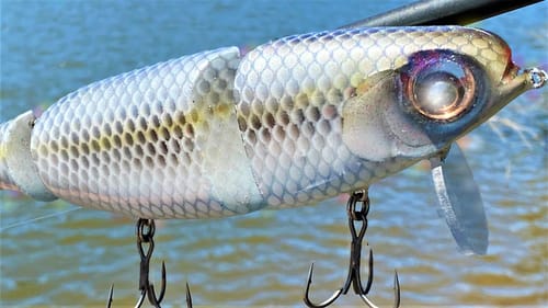 Big Loud Eye Knocker In a SwimBait
