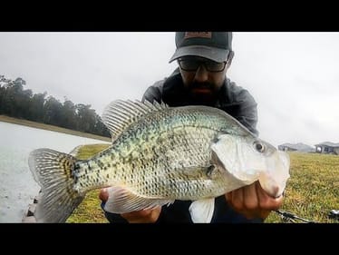 MONSTER CRAPPIE Fishing With LURES!!