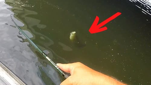 NO ONE Is Talking About The Most CRITICAL Bass Fishing TIP