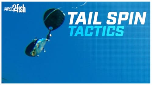 How to Fish Tail Spin Lures for Bass on Steep Edges
