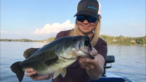 EXPLOSIVE BLOW UPS!! Shallow Smallmouth and Largemouth!