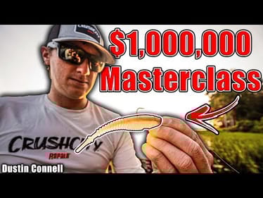 Mooch Minnow and Freeloader MASTERCLASS (Million $$$ Lures)