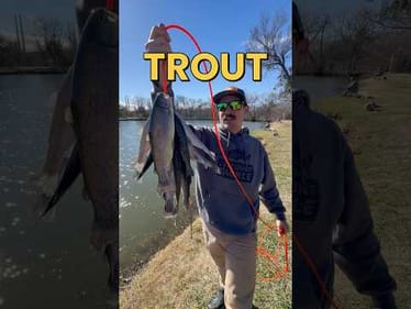 Is This The BEST Bait For Trout Fishing? #fishing #fishingvideos #troutfishing