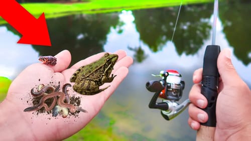 Finding FROGS & GRUBS For LIVEBAIT Fishing Challenge (WALMART)