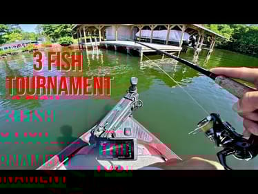 Bass Fishing Tournament on a weekday?! Lake Anna Virginia